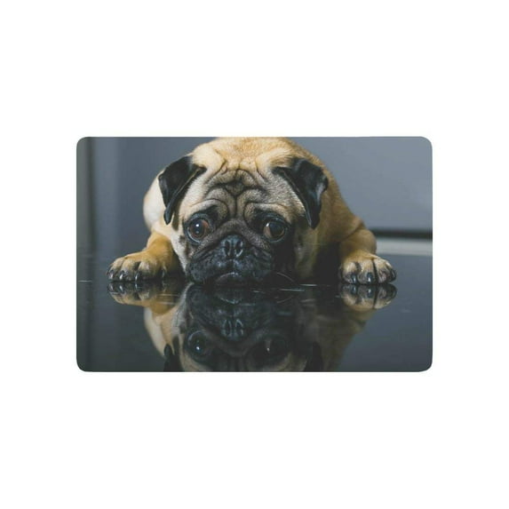 CADecor Animal Door Mat Home Decor, Sad Pug Dog Indoor Outdoor Entrance Doormat 23.6x15.7 Inches