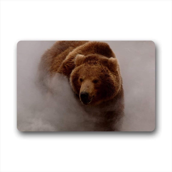 CADecor Bear Doormat Indoor Outdoor Floor Rug 30x18 inches