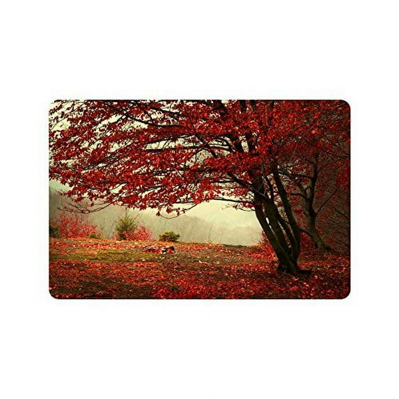 CADecor Beautiful Autumn Day Into The Forest Non-Slip Indoor/Outdoor Doormat 23.6x15.7 inches