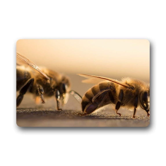 CADecor Bee Doormat Indoor Outdoor Floor Rug 30x18 inches