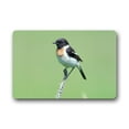 thumbnail image 1 of CADecor Bird Doormat Indoor Outdoor Floor Rug 23.6x15.7 inches, 1 of 2