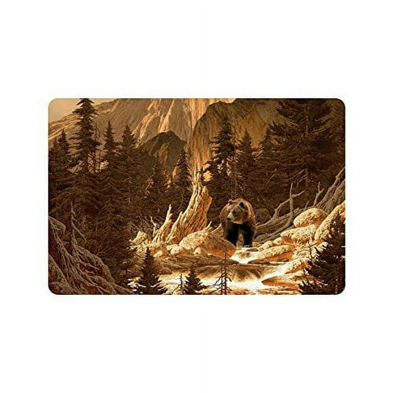 CADecor Brown Bear in the Rocky Mountains Door Mat Home Decor Indoor Outdoor Entrance Doormat 23.6x15.7 Inches