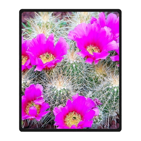 CADecor Cactus Blanket Fleece Throw Blanket for Sofa or Bed 58x80 inches