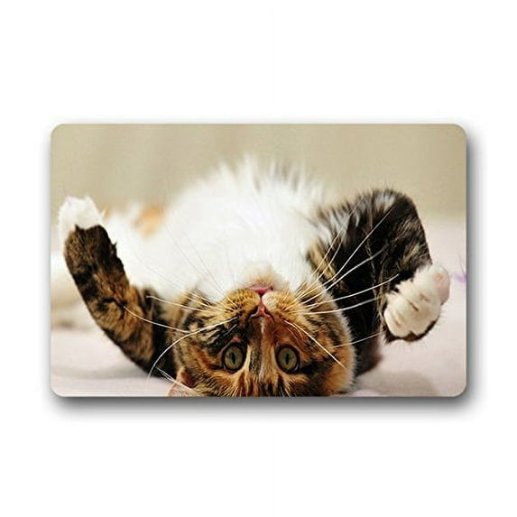 CADecor Cat Doormat Indoor Outdoor Floor Rug 23.6x15.7 inches