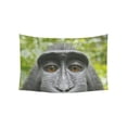 thumbnail image 1 of CADecor Cute Monkey Wall Tapestry Wall Hanging Wall Art Home Decor 40x60 inches, 1 of 2