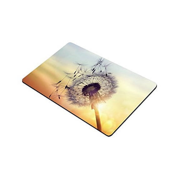 CADecor Dandelion Silhouette Against Sunset With Seeds Blossom Indoor/Outdoor Decor Rug Doormat 30x18 inches