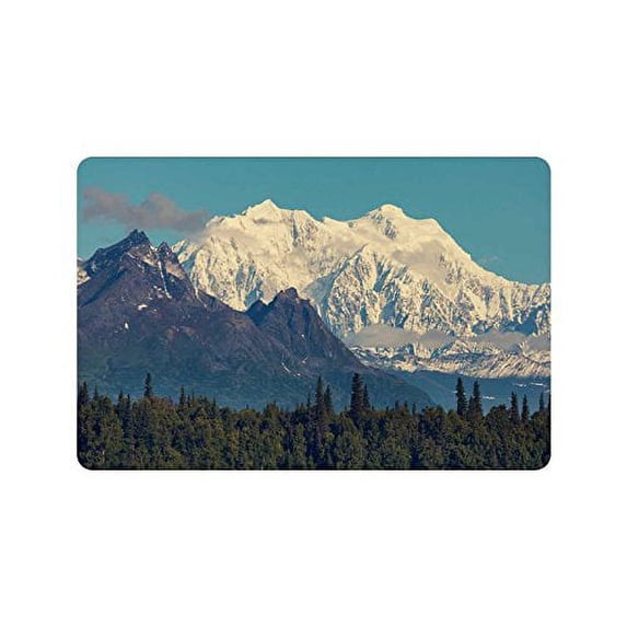 CADecor Denali Peak in Alaska Door Mat Home Decor, Winter Mountain Indoor Outdoor Entrance Doormat 23.6x15.7 Inches