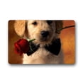 thumbnail image 1 of CADecor Dog Doormat Indoor Outdoor Floor Rug 30x18 inches, 1 of 1