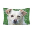 thumbnail image 1 of CADecor Dog Face Close-Up Wall Tapestry Wall Hanging Wall Art Home Decor 60x80 inches, 1 of 2
