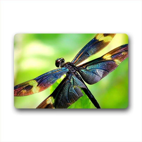 CADecor Dragonfly Doormat Indoor Outdoor Floor Rug 23.6x15.7 inches
