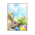 thumbnail image 1 of CADecor Easter Eggs Throw Blanket Bed Sofa Blanket 58x80 inches, 1 of 3