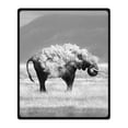 thumbnail image 1 of CADecor Elephant Blanket Fleece Throw Blanket for Sofa or Bed 58x80 inches, 1 of 3