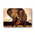 thumbnail image 1 of CADecor Elephant Doormat Indoor Outdoor Floor Rug 23.6x15.7 inches, 1 of 2