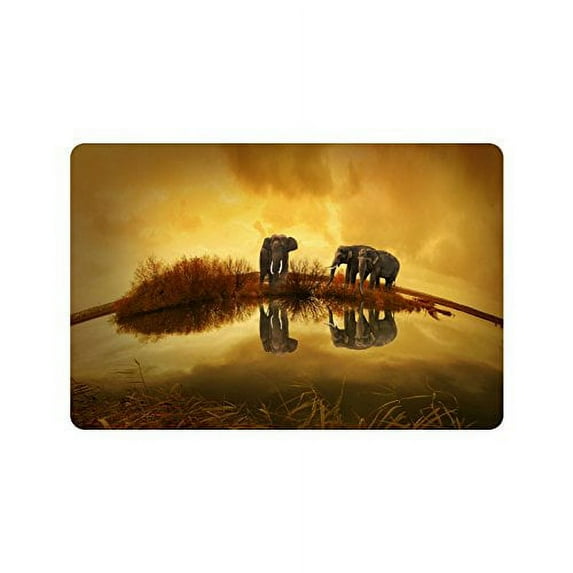 CADecor Elephants Non-Slip Indoor/Outdoor Doormat 23.6x15.7 inches