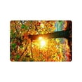 thumbnail image 1 of CADecor Fall Forest Seasons Trees Indoor/Outdoor Doormat 23.6x15.7 inches, 1 of 1