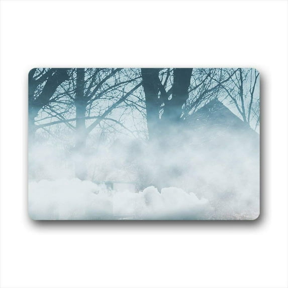 CADecor Fog Doormat Indoor Outdoor Floor Rug 23.6x15.7 inches