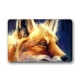 thumbnail image 1 of CADecor Fox Doormat Indoor Outdoor Floor Rug 30x18 inches, 1 of 1