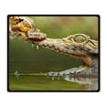 thumbnail image 1 of CADecor Frog Blanket Fleece Throw Blanket for Sofa or Bed 58x80 inches, 1 of 3