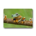 thumbnail image 1 of CADecor Frog Doormat Indoor Outdoor Floor Rug 30x18 inches, 1 of 1