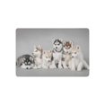 thumbnail image 1 of CADecor Funny Animal Door Mat Home Decor, Siberian Husky Puppy Dog Indoor Outdoor Entrance Doormat 23.6x15.7 Inches, 1 of 2
