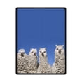 thumbnail image 1 of CADecor Furry Alpaca Fleece Blanket Throws 58x80 inches, 1 of 3