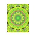 thumbnail image 1 of CADecor Golden Green Foliage Ferns Abstract Summer Days Wall Tapestry Wall Hanging Wall Art Home Decor 60x80 inches, 1 of 2