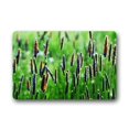 thumbnail image 1 of CADecor Grass Doormat Indoor Outdoor Floor Rug 23.6x15.7 inches, 1 of 1