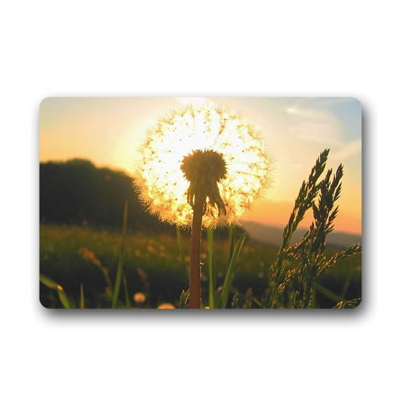 CADecor Grass Doormat Indoor Outdoor Floor Rug 30x18 inches