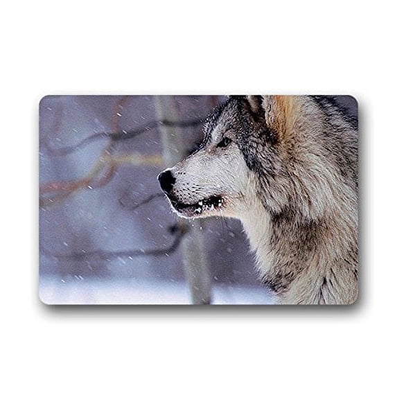 CADecor Husky Doormat Indoor Outdoor Floor Rug 23.6x15.7 inches