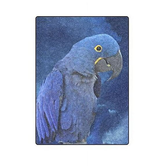 CADecor Hyacinth Macaw Couch Sofa or Bed Fleece Blanket Throw 58x80 inches