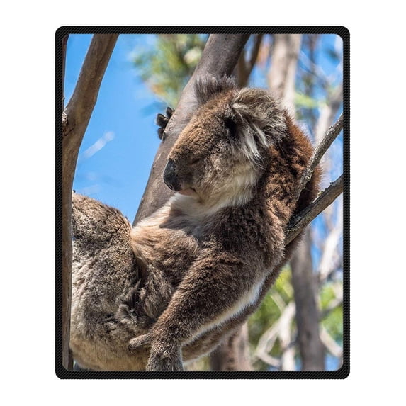 CADecor Koala Blanket Fleece Throw Blanket for Sofa or Bed 58x80 inches