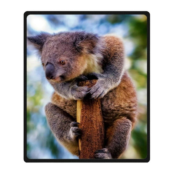 CADecor Koala Blanket Fleece Throw Blanket for Sofa or Bed 58x80 inches