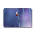 thumbnail image 1 of CADecor Ladybug Doormat Indoor Outdoor Floor Rug 30x18 inches, 1 of 1