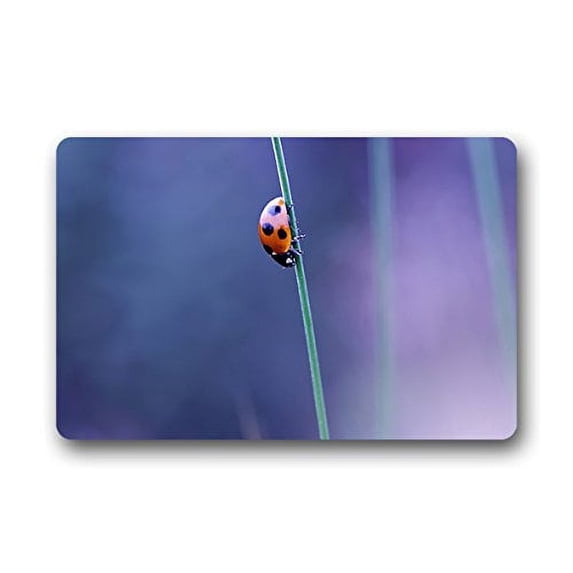 CADecor Ladybug Doormat Indoor Outdoor Floor Rug 30x18 inches
