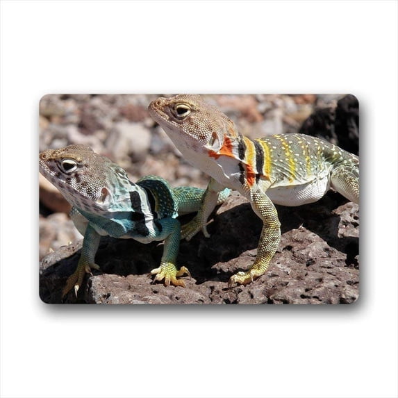 CADecor Lizard Doormat Indoor Outdoor Floor Rug 23.6x15.7 inches