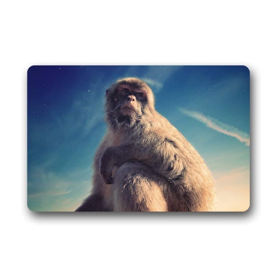 CADecor Monkey Doormat Indoor Outdoor Floor Rug 30x18 inches