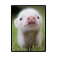 thumbnail image 1 of CADecor Pig Fleece Blanket Throw Blanket 58x80 inches, 1 of 3