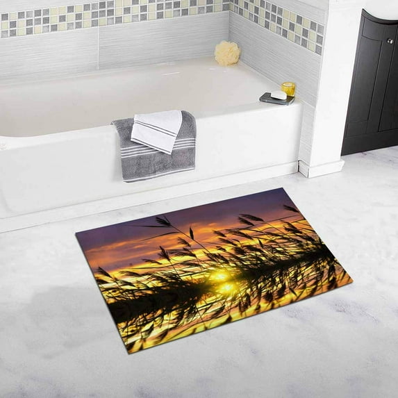 CADecor Reed Against the Country House Image of A Dramatic Sunset Sky Bath Mat Soft Bathroom Rugs Doormat 30x18 inches
