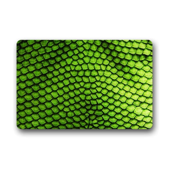 CADecor Scale Doormat Indoor Outdoor Floor Rug 23.6x15.7 inches