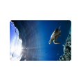 thumbnail image 1 of CADecor Sea Turtle Indoor/Outdoor Doormat 23.6x15.7 inches, 1 of 1