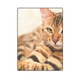 thumbnail image 1 of CADecor The Kitten on The Rug Fleece Throw Blanket 58x80 inches, 1 of 3