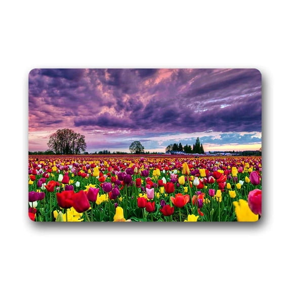 CADecor Tulips Doormat Indoor Outdoor Floor Rug 23.6x15.7 inches