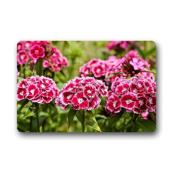 CADecor Tulips Doormat Indoor Outdoor Floor Rug 30x18 inches