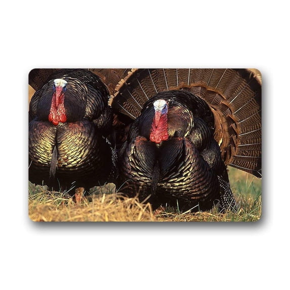 CADecor Turkey Doormat Indoor Outdoor Floor Rug 23.6x15.7 inches