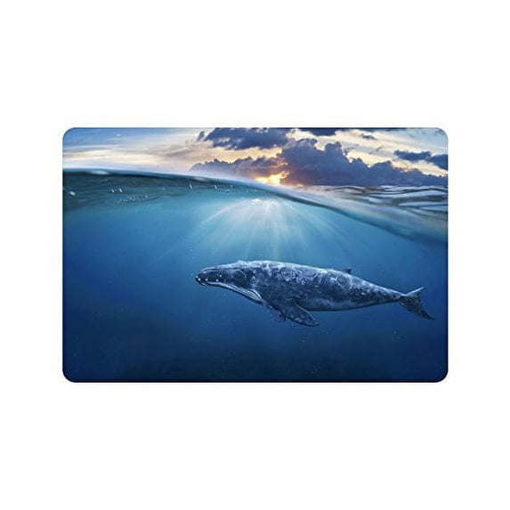 CADecor Whale in Half Air Indoor/Outdoor Doormat 23.6x15.7 inches