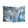thumbnail image 1 of CADecor Winter Forest Trees Looking at the Sky Wall Hanging Tapestry Dorm Art 60x80 inches, 1 of 2