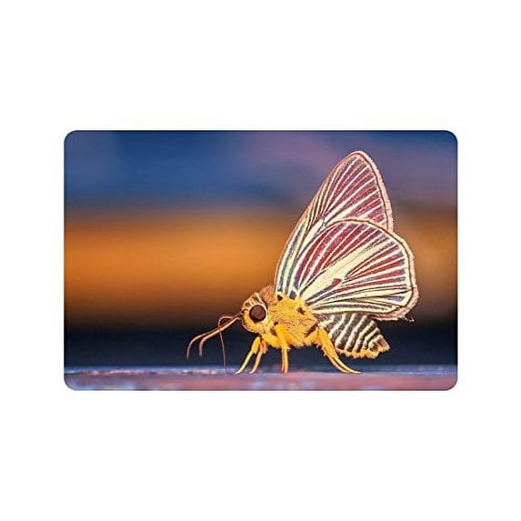 CADecor butterfly Non-Slip Machine Washable Bathroom Indoor/Outdoor Doormat 23.6x15.7 inches
