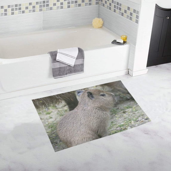 CADecor capybara baby Non-Slip Bath Rug Bath Mat Rug Doormat 30x18 inches
