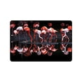 thumbnail image 1 of CADecor flamingo Non-Slip Machine Washable Bathroom Indoor/Outdoor Doormat 23.6x15.7 inches, 1 of 3
