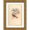 thumbnail image 1 of CAG 11x14 Gold Ornate Wood Framed with Double Matting Museum Art Print Titled - Merula Unicolor, 1 of 4